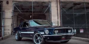 voxx ford